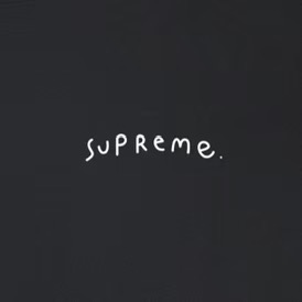 Supreme スプリーム ロゴTシャツ フィンクコラボ 限定 全6色 - 画像 8