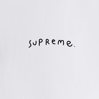 Supreme スプリーム ロゴTシャツ フィンクコラボ 限定 全6色 - 画像 9