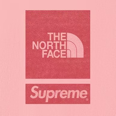 SUPREME スーパー�� + THE NORTH FACE ザ・ノースフェイス ロゴTシャツ 全5色 - 画像 3