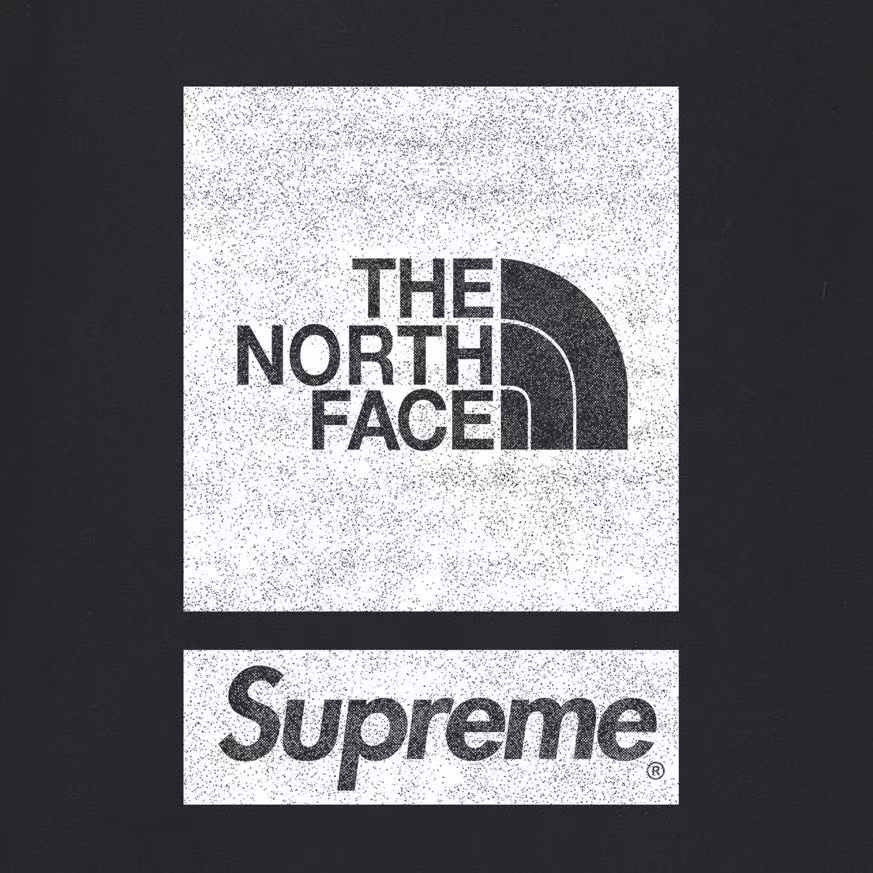 SUPREME スーパー�� + THE NORTH FACE ザ・ノースフェイス ロゴTシャツ 全5色 - 画像 4