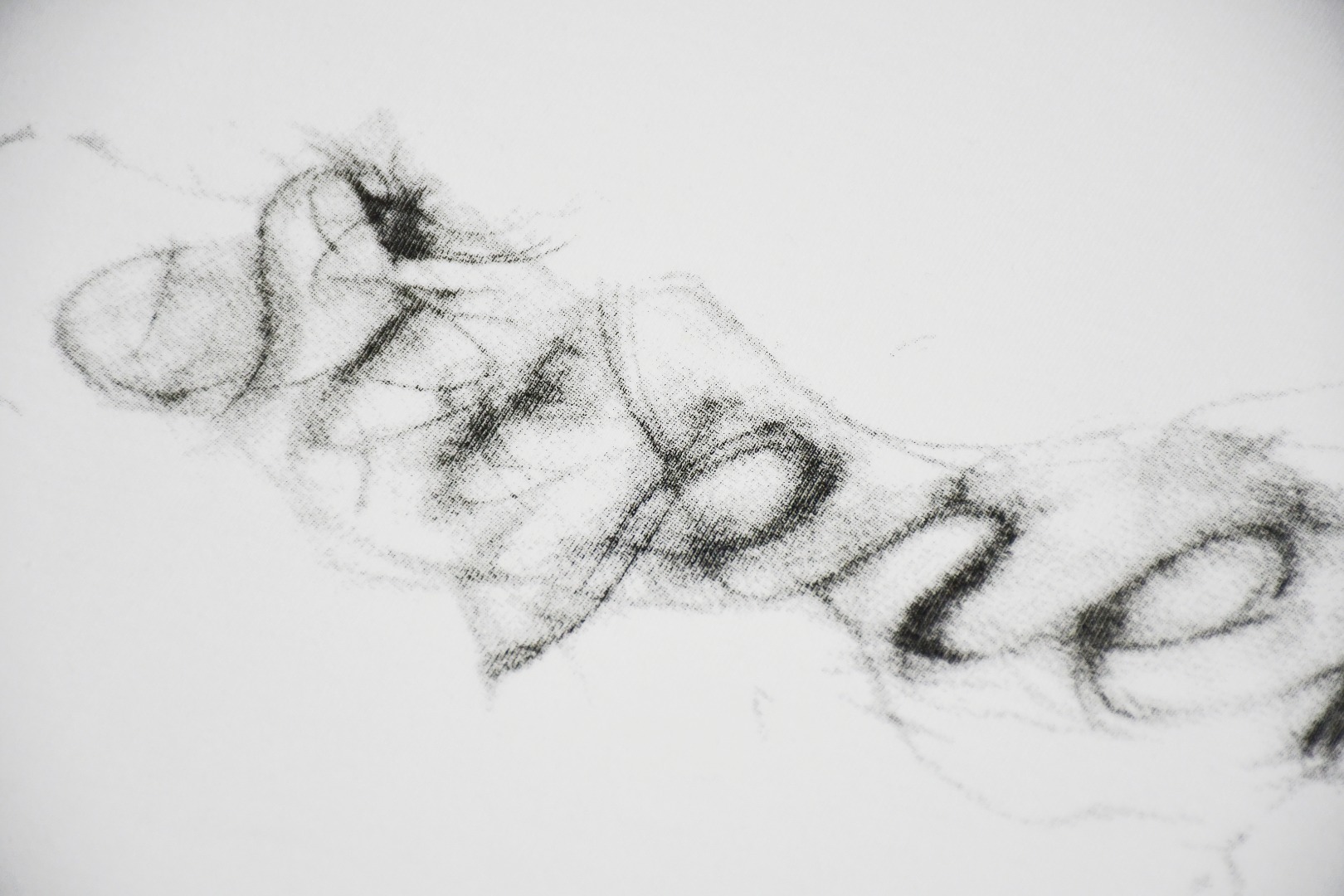 Supreme スュプリーム メンズTシャツ 19FW スモークロゴ 100%コットン 全2色 - 画像 8