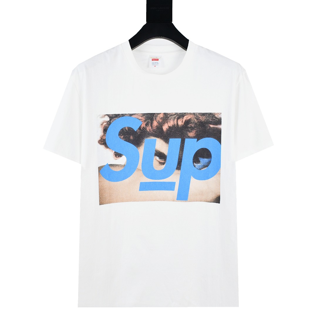 SUPREME スーパー 2023年 タイプA ショートスリーブTシャツ 全2色