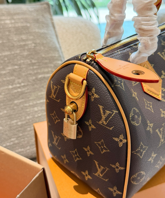 レア　LOUIS VUITTON　ルイヴィトン　スピーディ P9 バンドリエール25　モノグラム　2WAY　レディースバッグ　2色 - 画像 9
