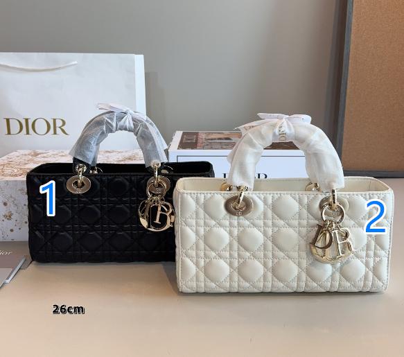 ディオール　レディ D-JOY　バッグ　レディース　Dior　レディDジョイ　ショルダーバッグ　ミディアム　2色