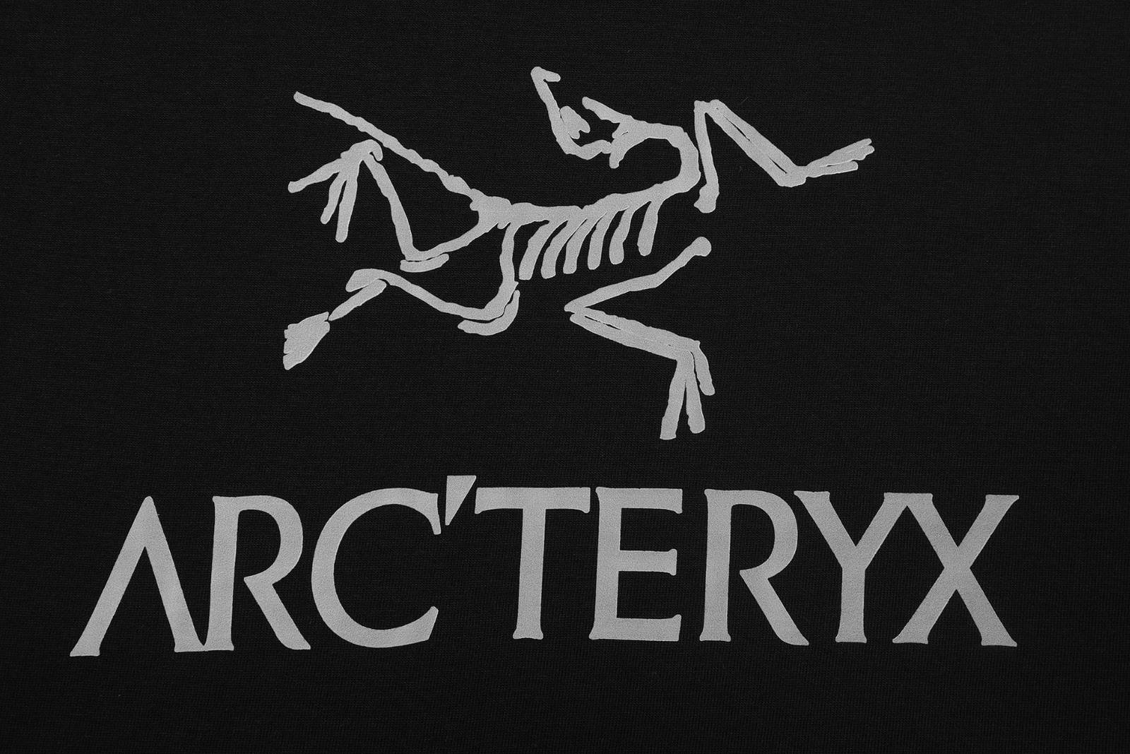 ARCTERYX アークテリクス メンズ スウェット トレーナー クルーネックスウェット ロゴプリント フロントロゴ リブ仕様 ブラック - 画像 7