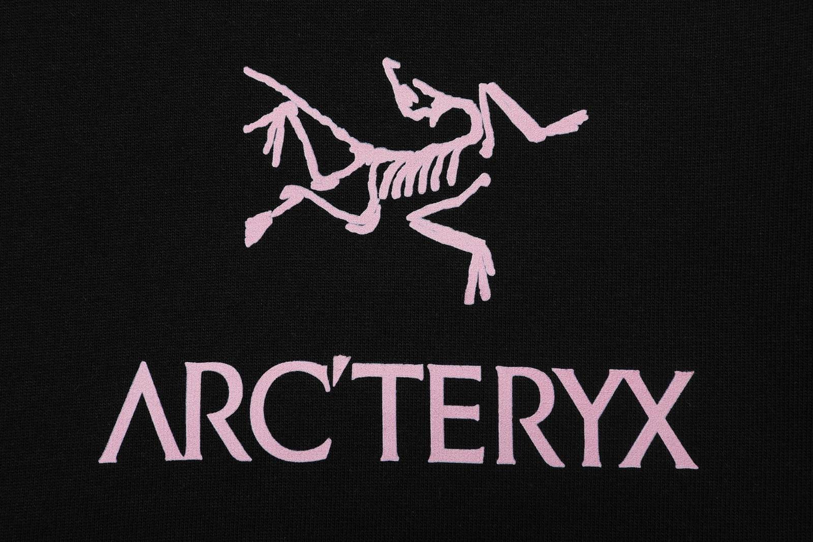 ARCTERYX アルティメット クルーネックスウェット トレーナー ロゴプリント フロントロゴ フードなし メンズ ホワイト ブラック - 画像 9