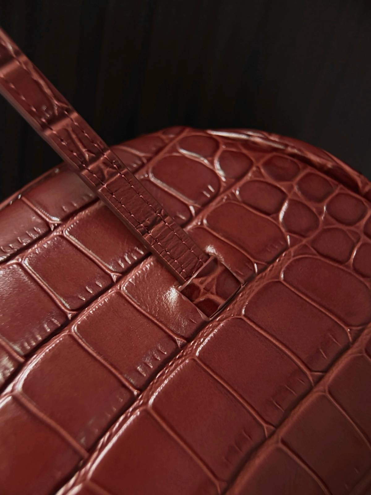 シャネル 5460 キャビアスキン ロングチェーンショルダーバッグ ゴールド金具 レディース ブラック ネイビー レッド - 画像 6