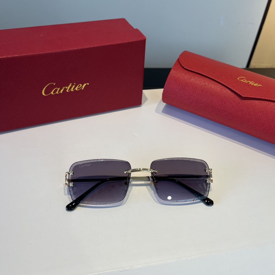 CARTIE カルティエ サングラス フレームレス 軽量 メタル ブラック 31333 - 画像 8