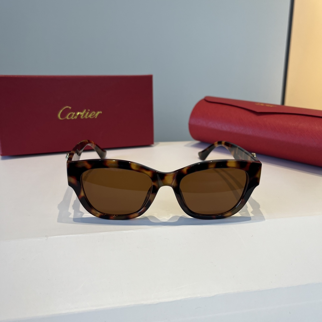 CARTIE カルティエ サングラス メンズ レディース チェスカ サングラス レディース ブラック 多色展開 - 画像 2