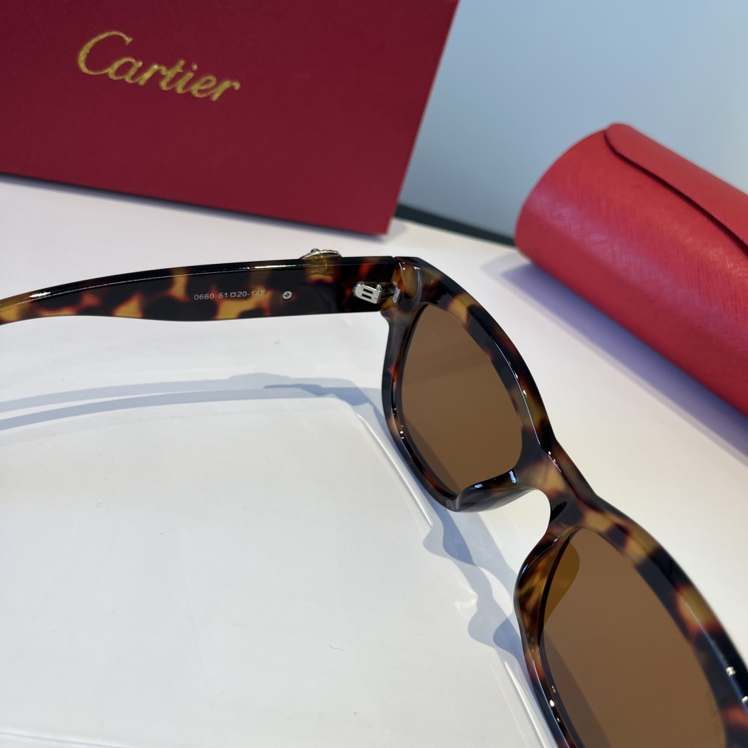 CARTIE カルティエ サングラス メンズ レディース チェスカ サングラス レディース ブラック 多色展開 - 画像 5