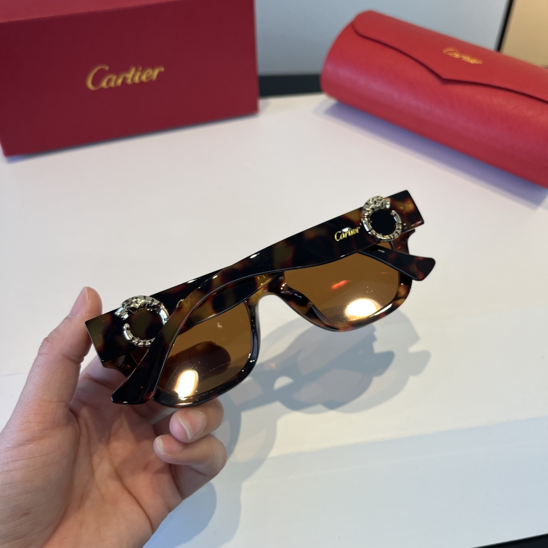 CARTIE カルティエ サングラス メンズ レディース チェスカ サングラス レディース ブラック 多色展開 - 画像 6