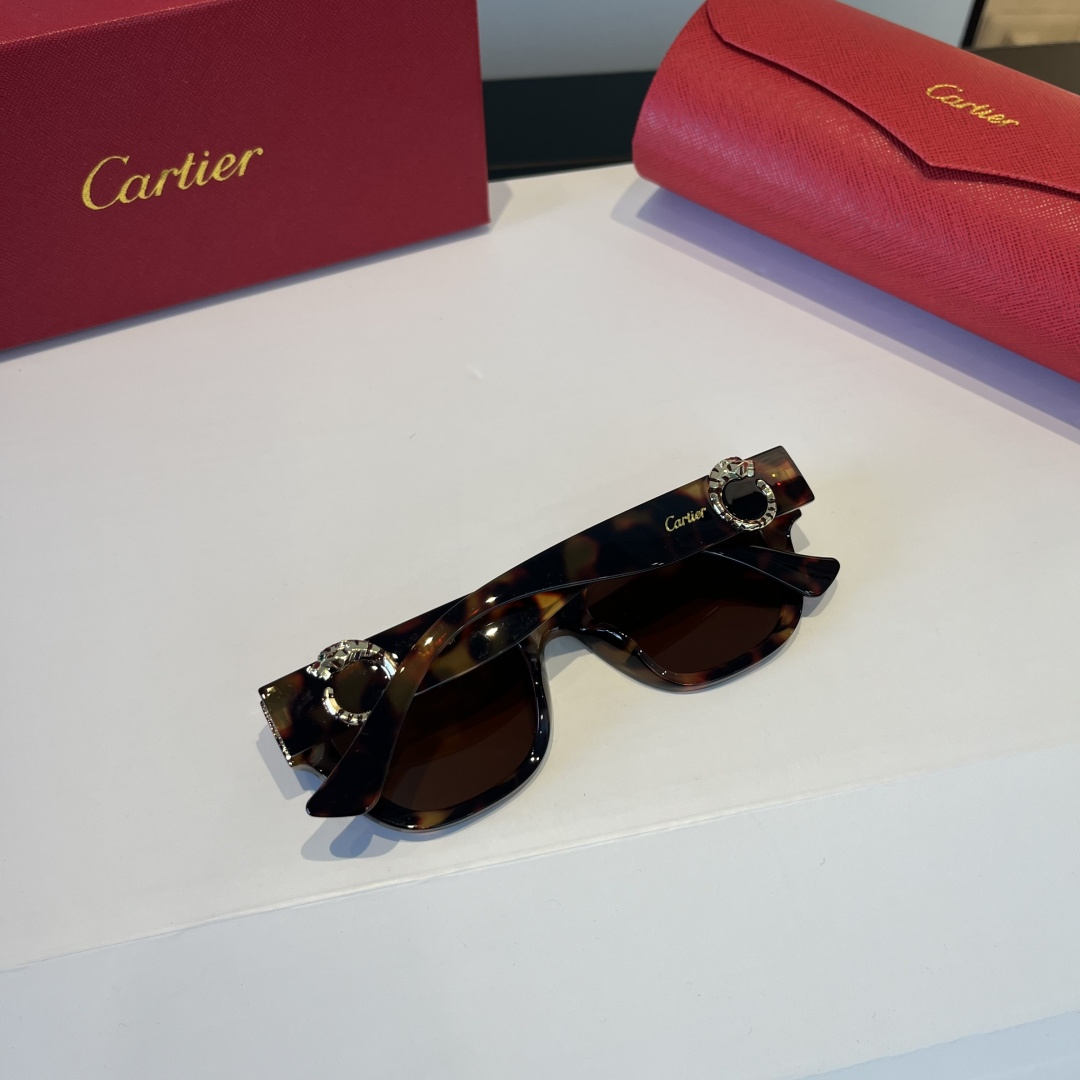 CARTIE カルティエ サングラス メンズ レディース チェスカ サングラス レディース ブラック 多色展開 - 画像 7