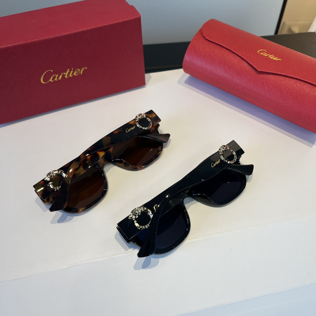 CARTIE カルティエ サングラス メンズ レディース チェスカ サングラス レディース ブラック 多色展開 - 画像 9