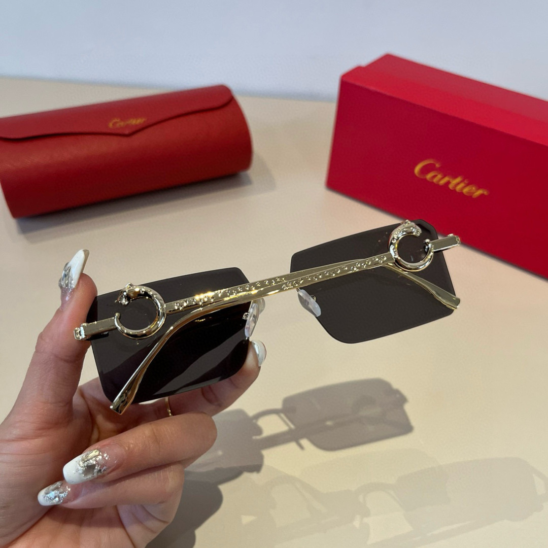 CARTIE カルティエ サングラス メタルフレーム フレームレス 軽量 メンズ レディース ブラック - 画像 5