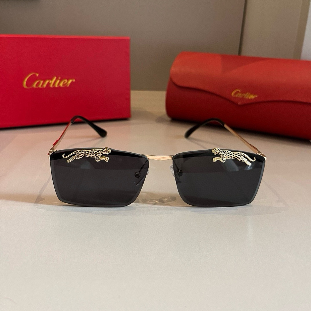 CARTIE カルティエ メンズサングラス サファリデザイン 黒 メタルフレーム 202320 58-18-145 ブラック - 画像 2