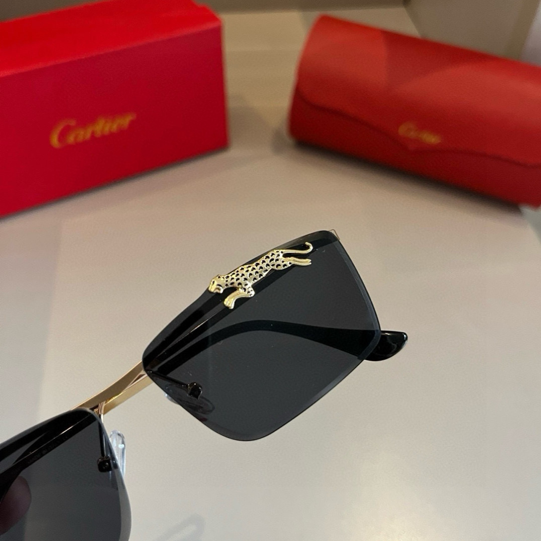 CARTIE カルティエ メンズサングラス サファリデザイン 黒 メタルフレーム 202320 58-18-145 ブラック - 画像 6