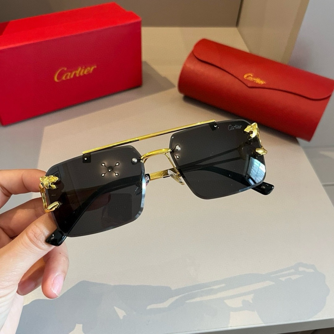 CARTIE カルティエ サングラス カテキア メンズ ブラック メタルフレーム ランナーズ デザイン 限定モデル - 画像 8