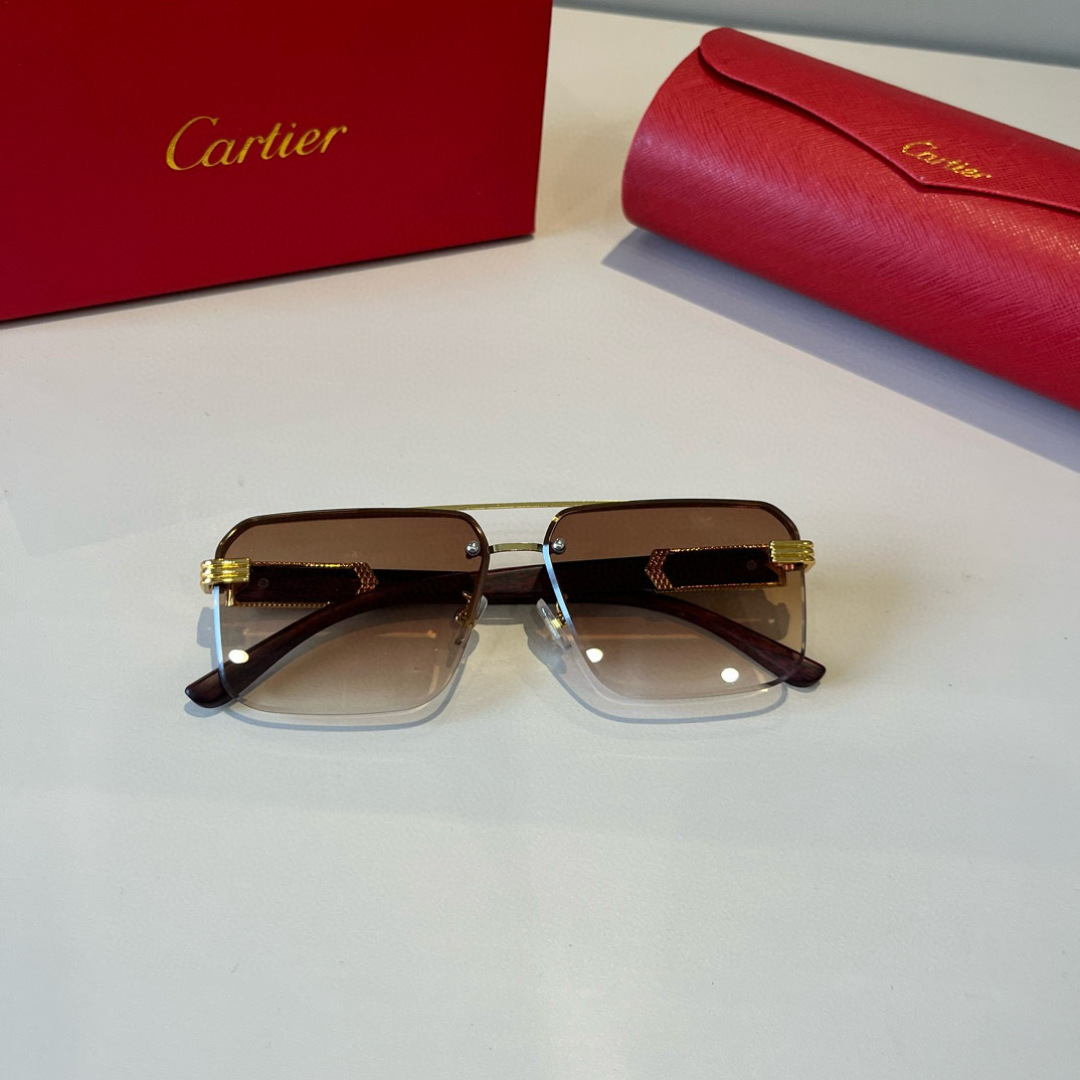 CARTIE カルティエ サングラス メンズ ブラウン カラー 金属フレーム 金具装飾 限定モデル - 画像 7