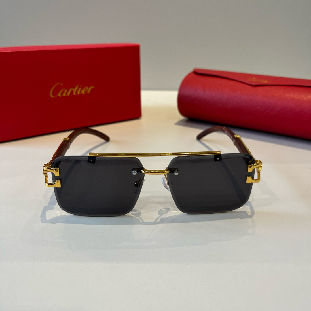 CARTIE カルティエ サングラス 8678 60 メンズ ブラック 多色展開 - 画像 4