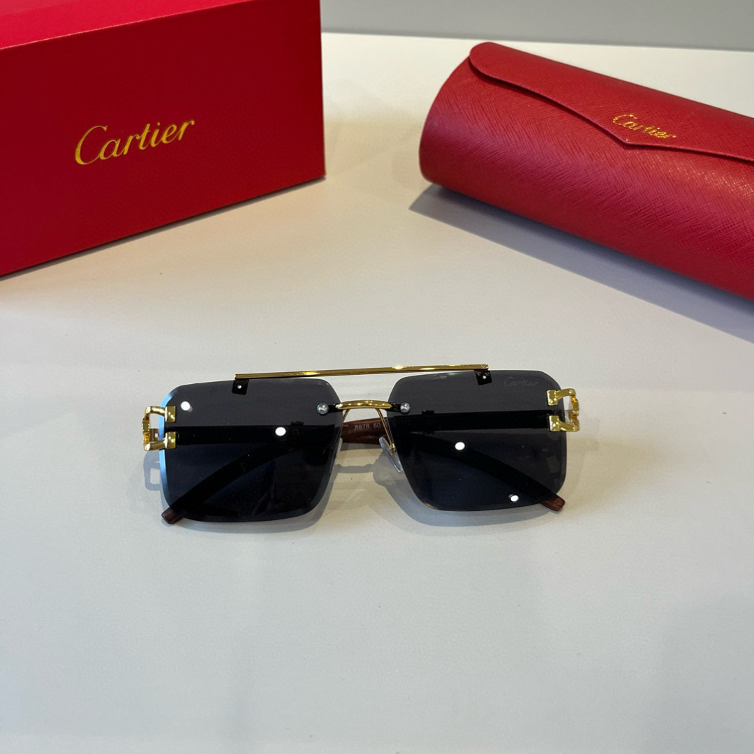 CARTIE カルティエ サングラス 8678 60 メンズ ブラック 多色展開 - 画像 7