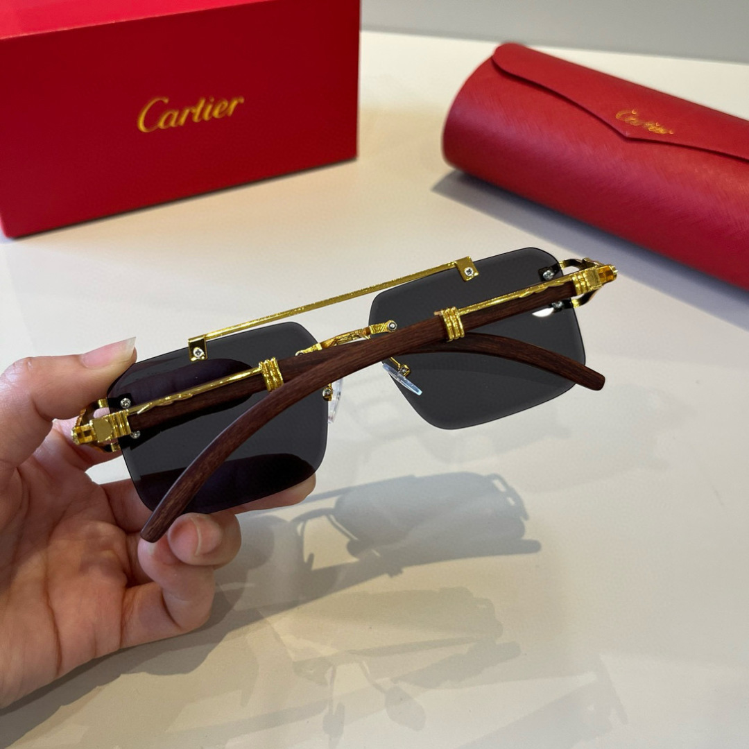 CARTIE カルティエ サングラス 8678 60 メンズ ブラック 多色展開 - 画像 8