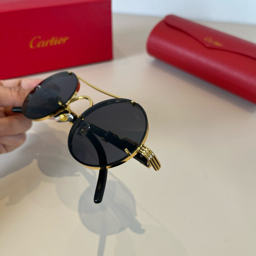 CARTIE カルティエ ポイントサングラス 6108 メンズ レディース ブラック プレミアムスタイル - 画像 9