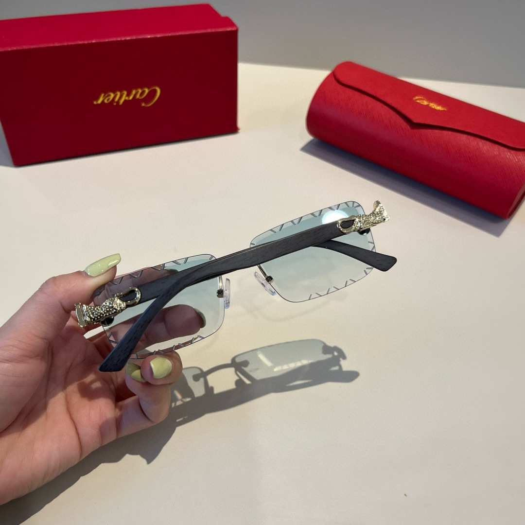 CARTIER カルティエ サングラス メタルフレーム 無縁 シルバー ブラック ランプ グラデーション キャットアイ メンズ レディース - 画像 5