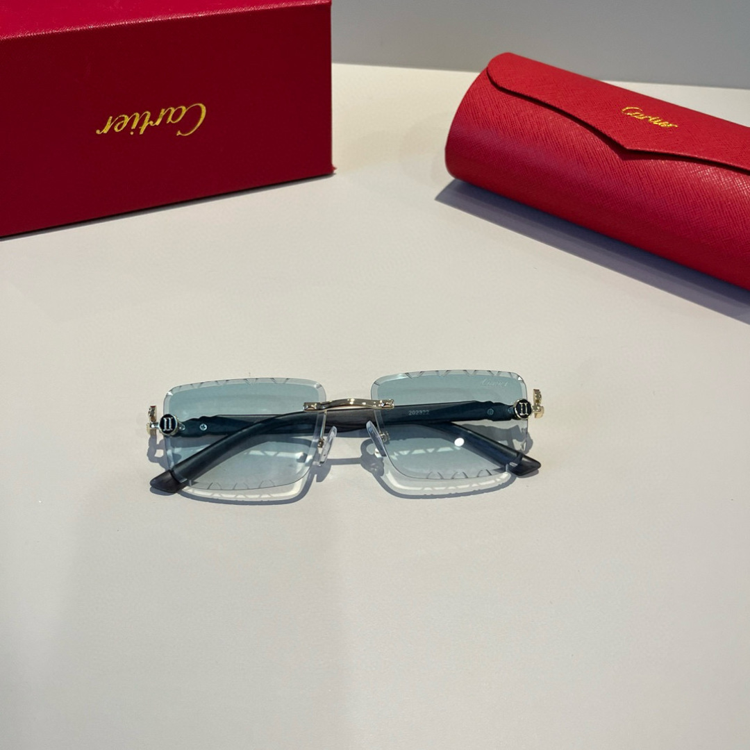 CARTIER カルティエ サングラス メタルフレーム 無縁 シルバー ブラック ランプ グラデーション キャットアイ メンズ レディース - 画像 8