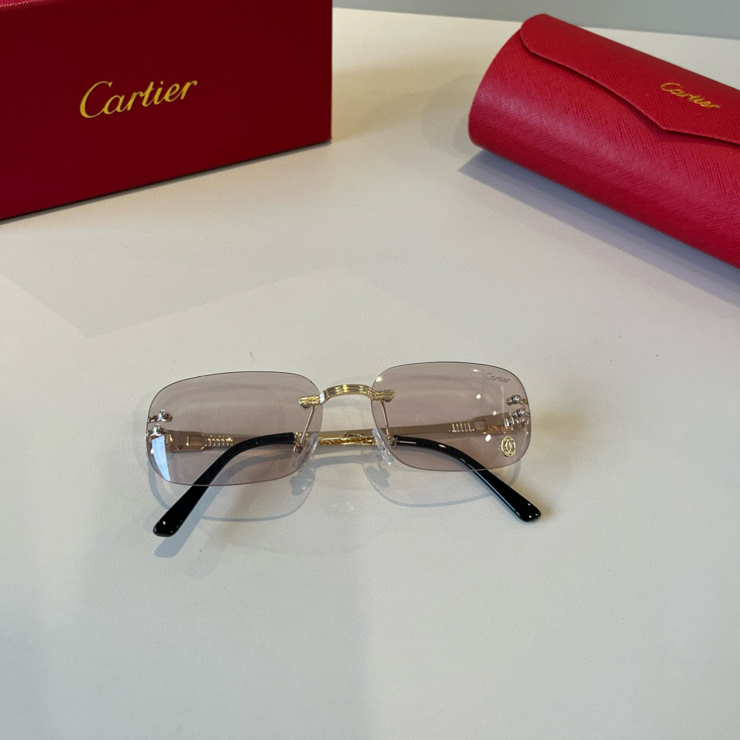 CARTIE カルティエ メガネ メンズ レディース ブランド 17477 ロングフレーム マットブラック ピンク グレー グリーン ブルー レッド 多色展開 - 画像 2