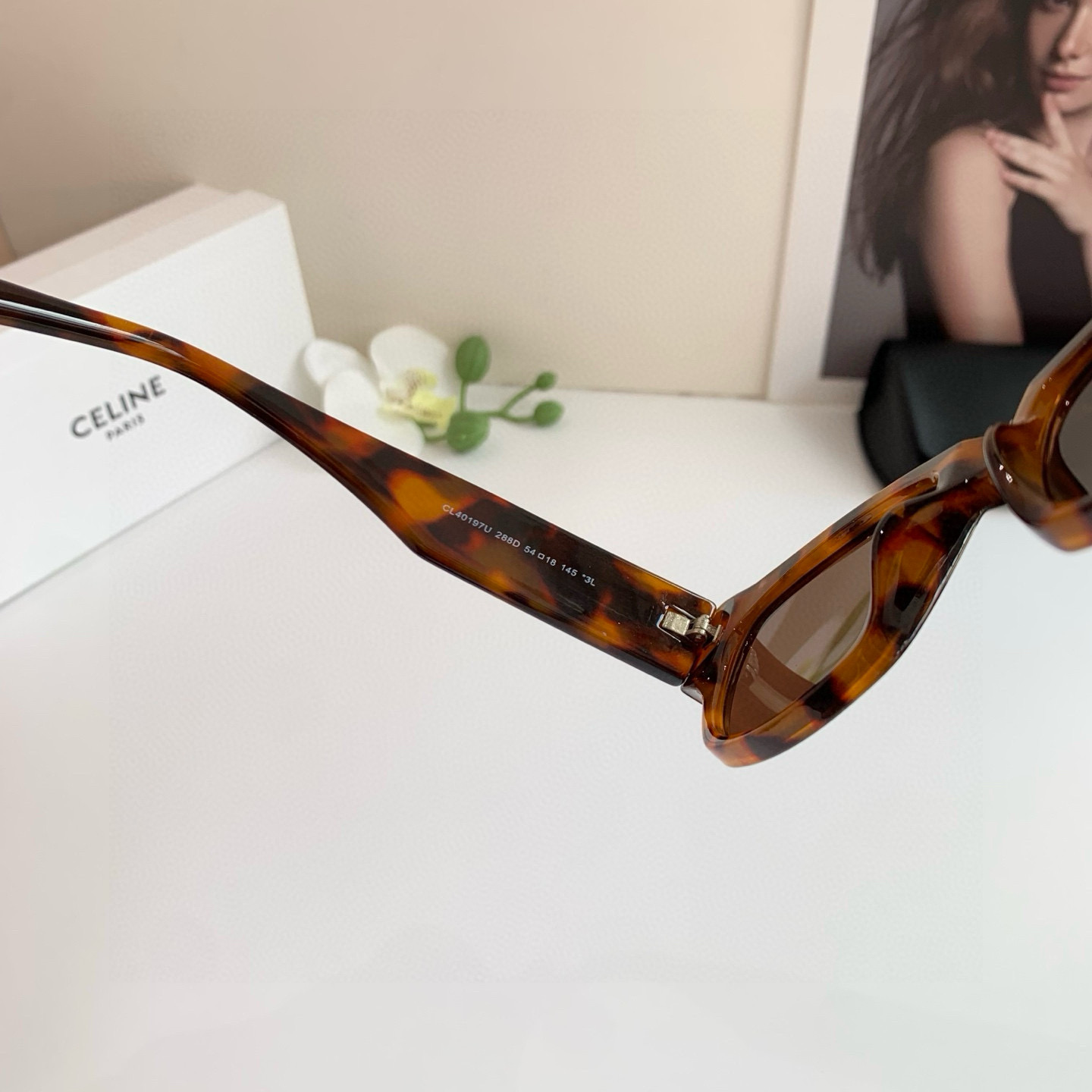 CELINE セリーヌ サングラス 限定モデル フレーム 288D 54 18 145 3L 超小顔 レディース ブラウン 多色展開 - 画像 6