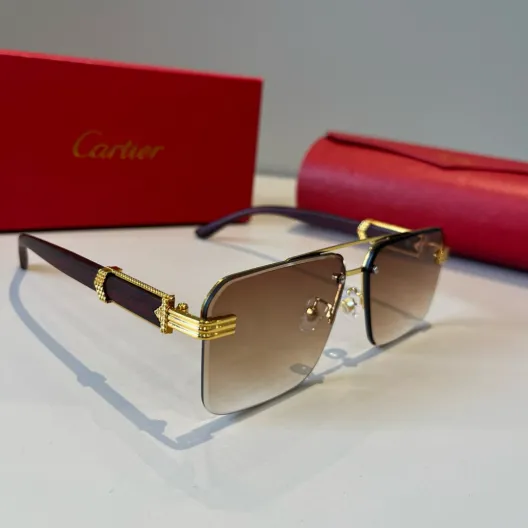 CARTIE カルティエ サングラス メンズ ブラウン カラー 金属フレーム 金具装飾 限定モデル